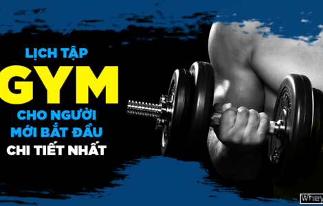 Lịch tập gym cho người mới bắt đầu 3 - 4 buổi 1 tuần phù hợp nhất