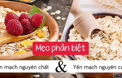 Mẹo phân biệt yến mạch nguyên chất và yến mạch nguyên cám