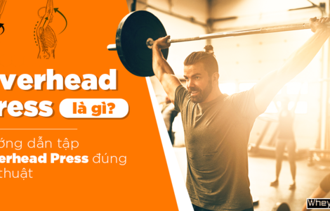 Overhead Press là gì? Hướng dẫn tập Overhead Press đúng kỹ thuật