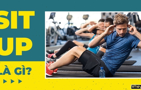 Sit up là gì? Hướng dẫn tập Sit up đúng kỹ thuật cho người mới