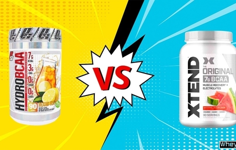 So sánh Hydro BCAA và Xtend BCAA: Loại nào chống dị hóa tốt hơn?