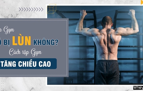 Tập Gym có bị lùn không? Cách tập Gym tăng chiều cao