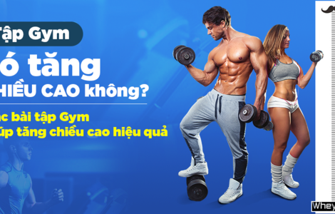 Tập Gym có tăng chiều cao không? Các bài tập giúp tăng chiều cao hiệu quả.