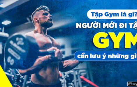 Tập Gym là gì? Người mới đi tập Gym cần lưu ý những gì?