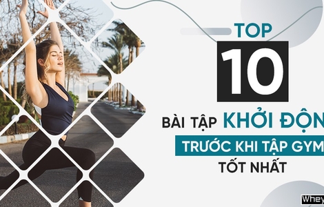 10 bài tập khởi động trước khi tập Gym đánh thức mọi cơ bắp