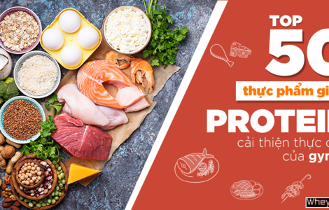 Top 50 thực phẩm giàu protein tăng cơ cho thực đơn của gymer
