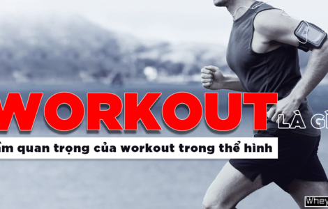 Workout là gì? Tầm quan trọng của workout trong thể hình