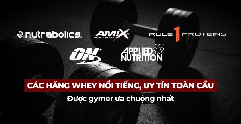 Điểm danh các hãng whey nổi tiếng, uy tín toàn cầu được gymer ưa chuộng