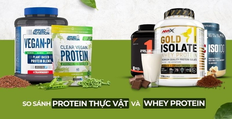 So sánh protein thực vật và whey protein: Loại nào tăng cơ tốt hơn?