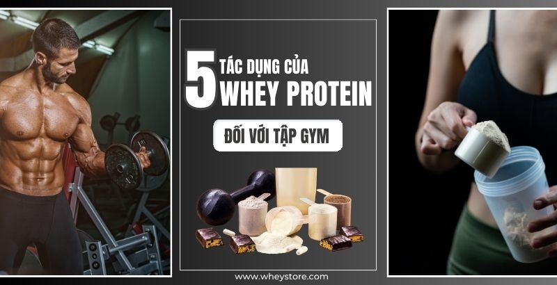 5 tác dụng của whey protein trong tập gym