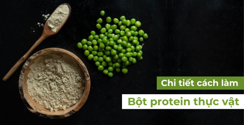 Chi tiết cách làm bột protein thực vật đơn giản nhất cho gymer