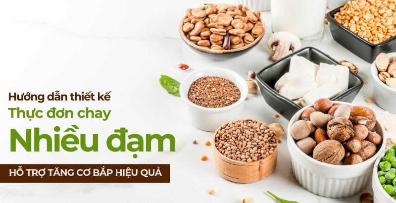 Hướng dẫn thiết kế thực đơn chay nhiều đạm hỗ trợ tăng cơ bắp hiệu quả