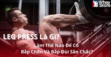 Leg Press Là Gì? Làm Thế Nào Để Có Bắp Chân Và Bắp Đùi Săn Chắc?