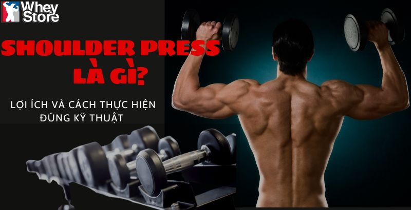 Shoulder Press là gì? Lợi ích và cách thực hiện đúng kỹ thuật