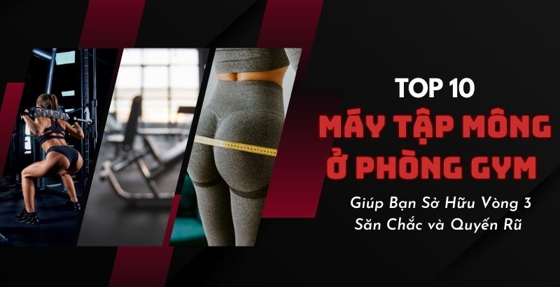 Các Máy Tập Mông Ở Phòng Gym Giúp Bạn Sở Hữu Vòng 3 Quyến Rũ