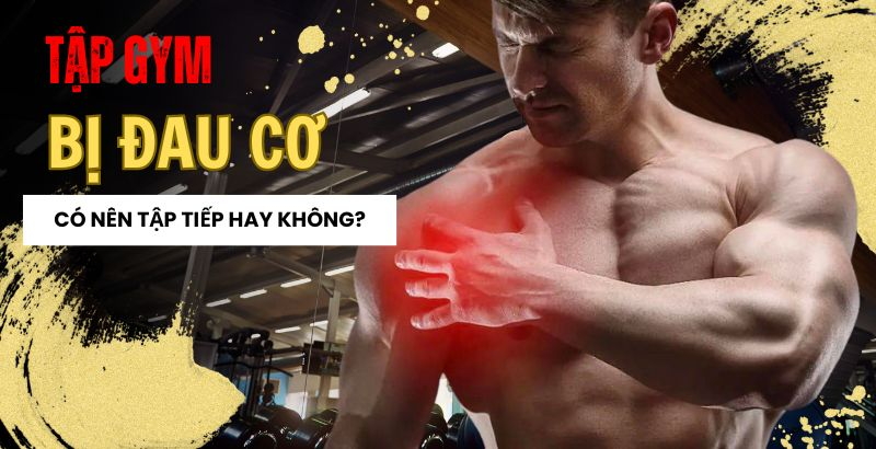 Tập gym bị đau cơ có nên tập tiếp hay không? - Giải đáp nhanh!