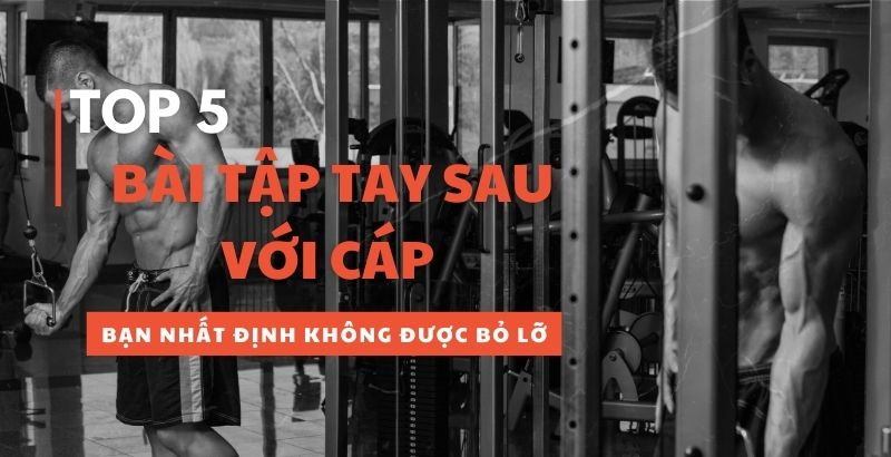 Top Bài Tập Tay Sau Với Cáp Giúp Bạn Sở Hữu Cánh Tay Săn Chắc
