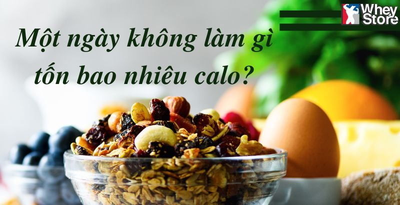 Một Ngày Không Làm Gì Tốn Bao Nhiêu Calo? Sự Thật Ít Ai Biết!
