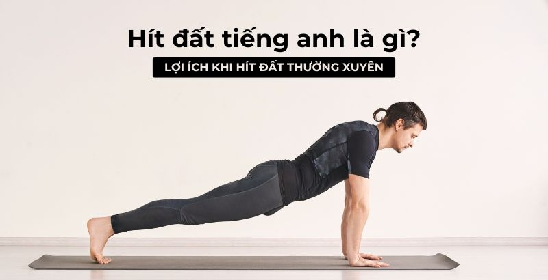 Hít đất tiếng anh là gì? Lợi ích khi hít đất thường xuyên