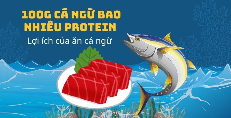 100g cá ngừ bao nhiêu protein – Lợi ích của ăn cá ngừ