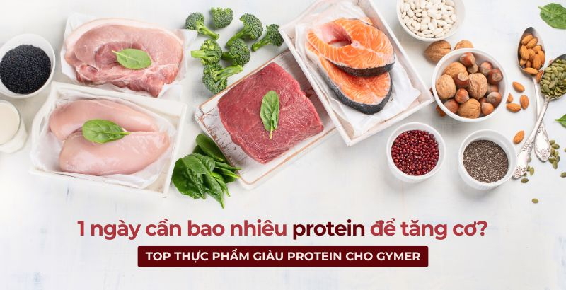 1 ngày cần bao nhiêu protein để tăng cơ? Top thực phẩm giàu protein cho gymer