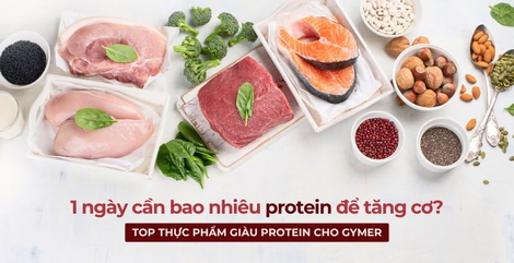 1 ngày cần bao nhiêu protein để tăng cơ? Top thực phẩm giàu protein cho gymer