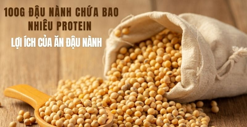 100g đậu nành chứa bao nhiêu protein – Lợi ích của ăn đậu nành