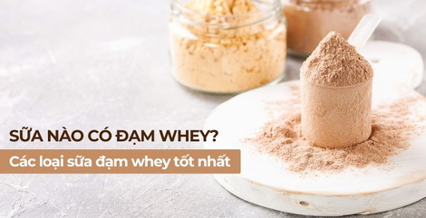 Sữa nào có đạm whey? Các loại đạm whey tốt nhất cho người tập thể hình