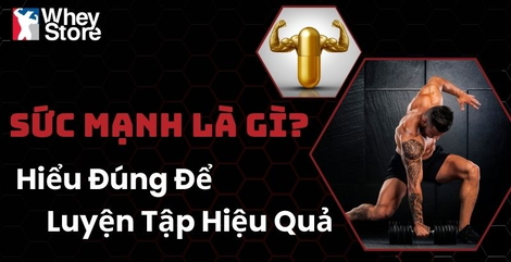Sức Mạnh Là Gì? Cách Hiểu Đúng và Luyện Tập Hiệu Quả