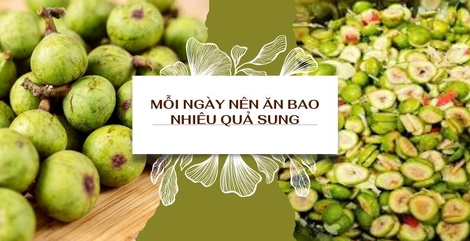 Mỗi ngày nên ăn bao nhiêu quả sung? Tác dụng của quả sung đối với sức khỏe