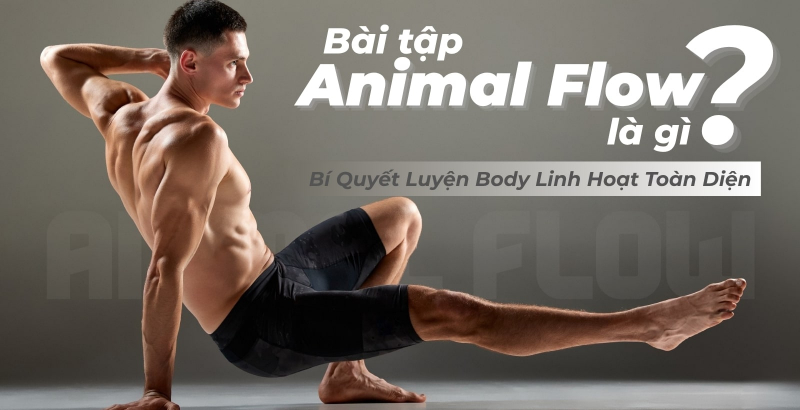 Bài Tập Animal Flow Là Gì? Bí Quyết Luyện Body Linh Hoạt Toàn Diện