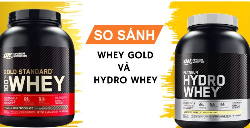 So sánh whey gold và hydro whey: Đâu là lựa chọn phù hợp cho gymer?