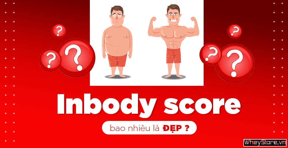 Inbody score bao nhiêu là đẹp? Đọc chỉ số inbody chuyên nghiệp