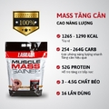 Labrada Muscle Mass Gainer 12lbs