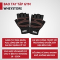 Bao tay WheyStore