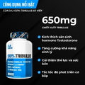 Combo tăng cường sinh lý nam, bổ sung vitamin Tribulus, ZMA, Vitamin K2+D3