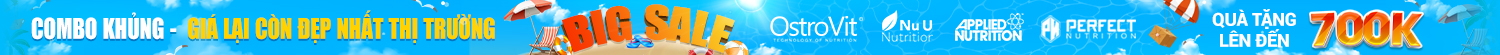 Banner top 1