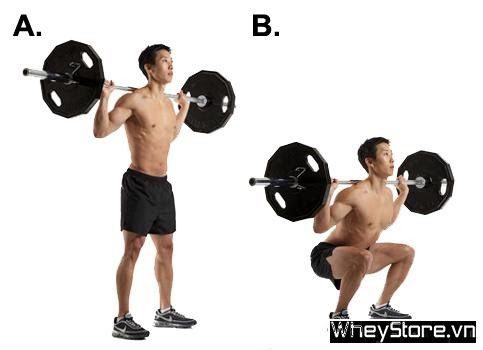 Phương pháp tập động tác ngồi xổm   - Ảnh 2