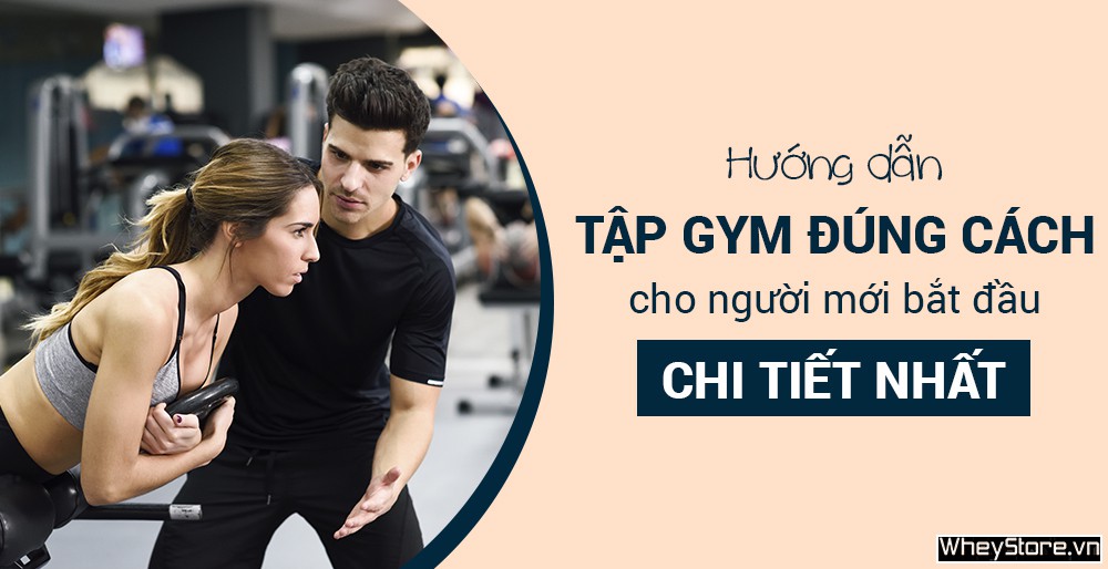 Hướng dẫn tập Gym đúng cách cho người mới bắt đầu chi tiết nhất