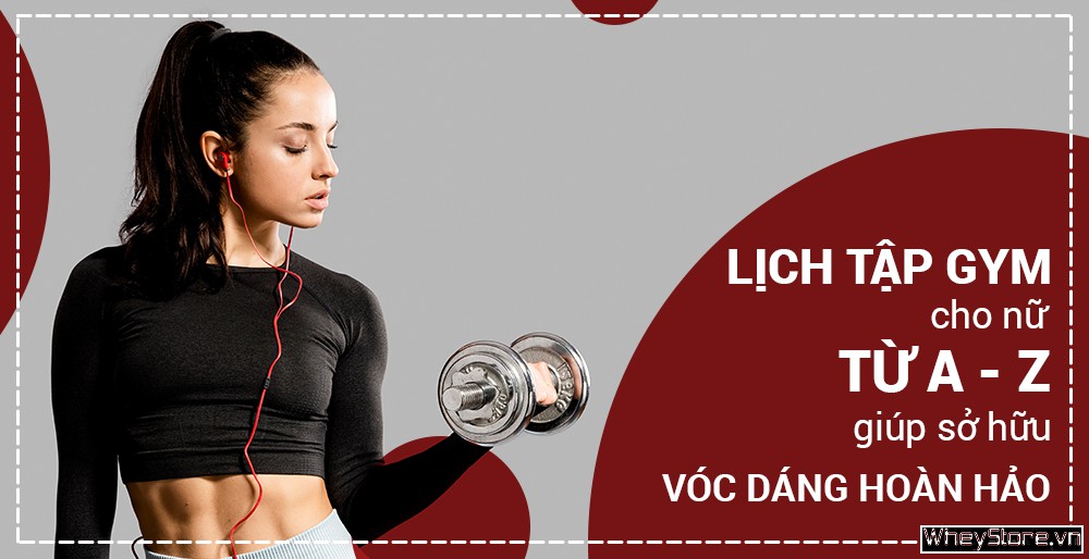 Lịch tập Gym cho nữ mới bắt đầu tăng cân giảm mỡ hiệu quả