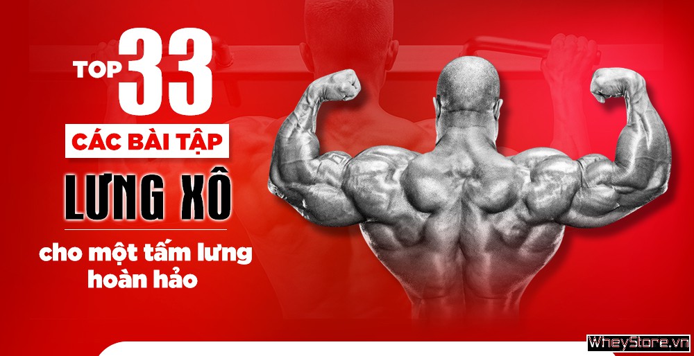 cách tập cơ xô lưng tại nhà