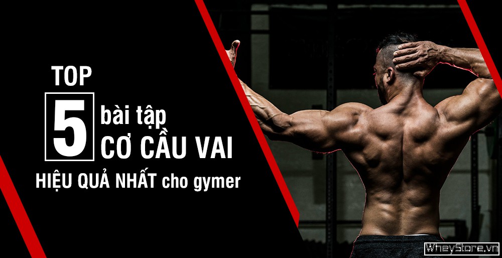 Top 5 bài tập cơ cầu vai tại nhà hiệu quả nhất cho Gymer