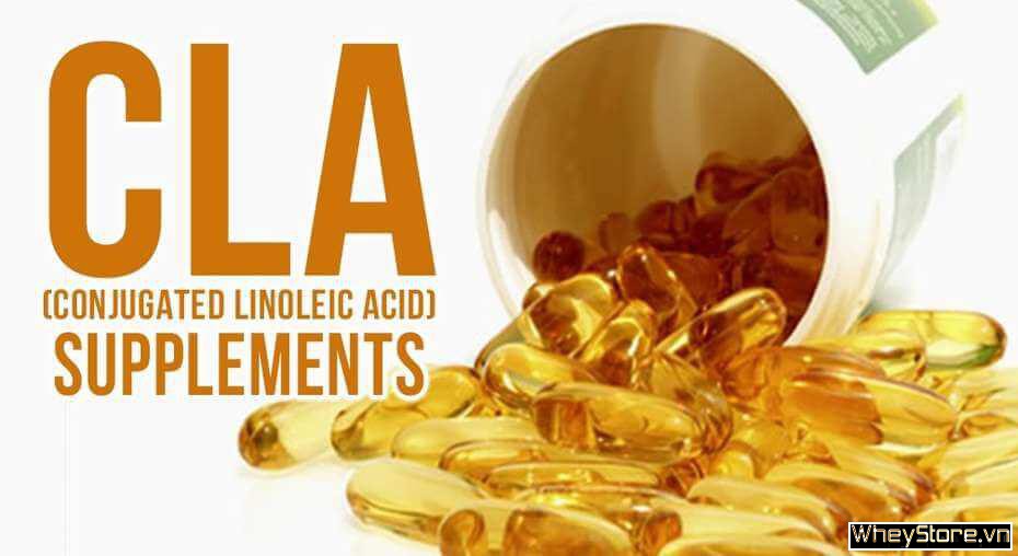 CLA là gì ? Thông tin, cách thức sử dụng CLA