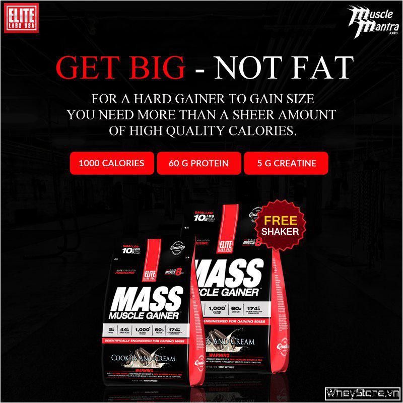 Elitelab mass muscle gainer có tốt không?