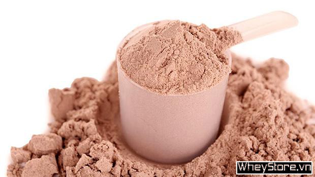Whey Protein là gì? Nguồn gốc, Các loại Whey Protein 