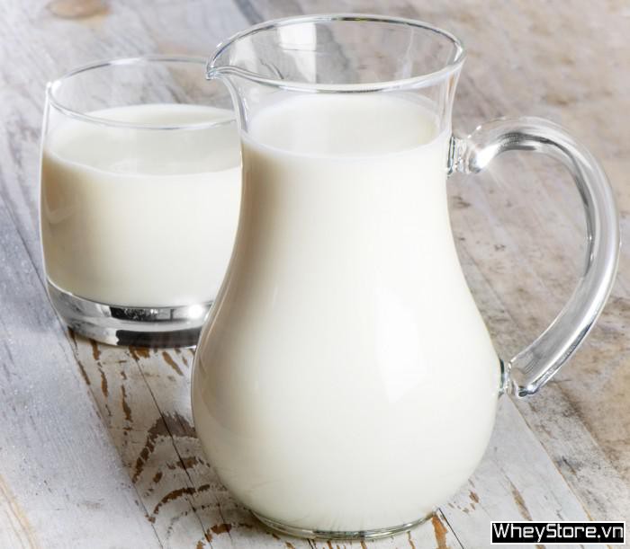 Những lợi ích của casein đối với sức khoẻ