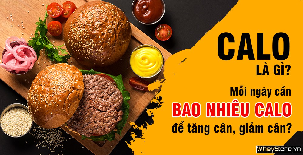 Calo là gì? Mỗi ngày cần bao nhiêu calo để tăng cân, giảm cân?