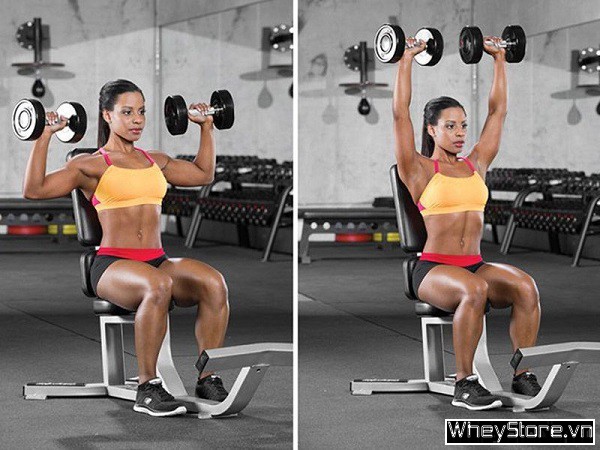 Lịch tập Gym tăng cân nhanh cho nữ gầy hiệu quả - Ảnh 3