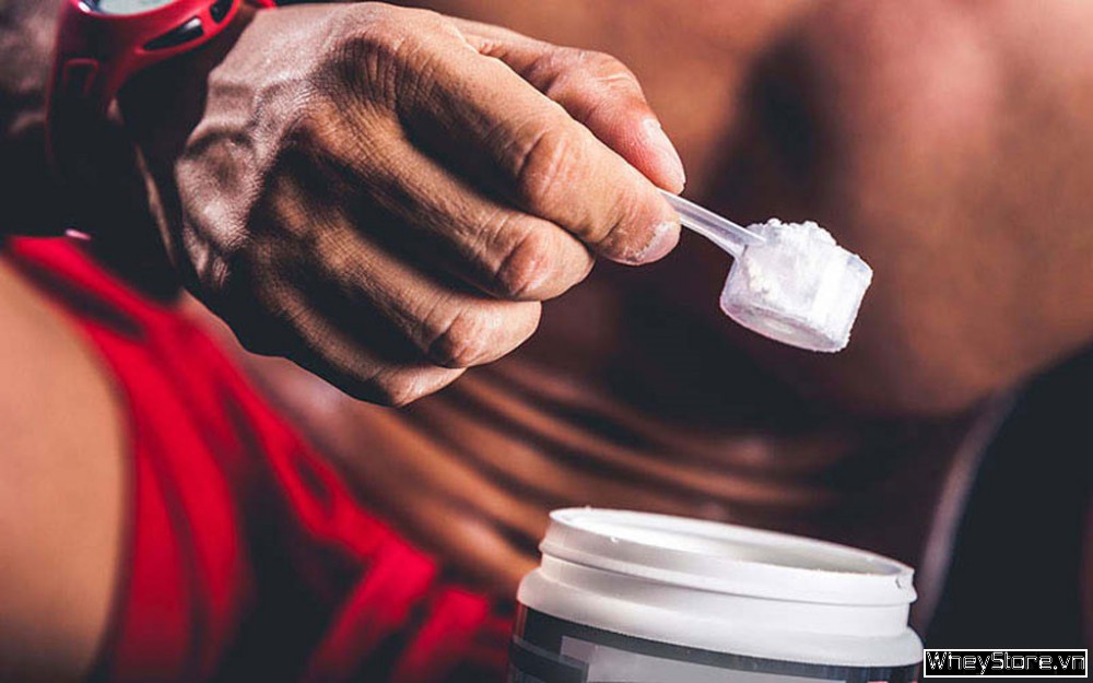 Creatine là gì? Cách sử dụng Creatine hiệu quả nhất - Ảnh 1