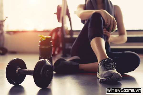 Workout là gì? Tầm quan trọng của workout trong thể hình - Ảnh 3